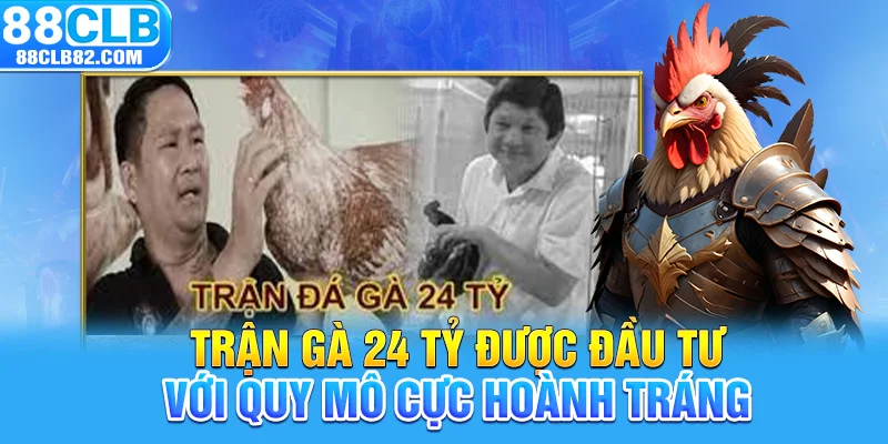 Trận gà 24 tỷ được đầu tư với quy mô cực hoành tráng