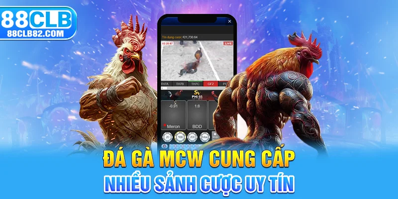 Đá gà MCW cung cấp nhiều sảnh cược uy tín