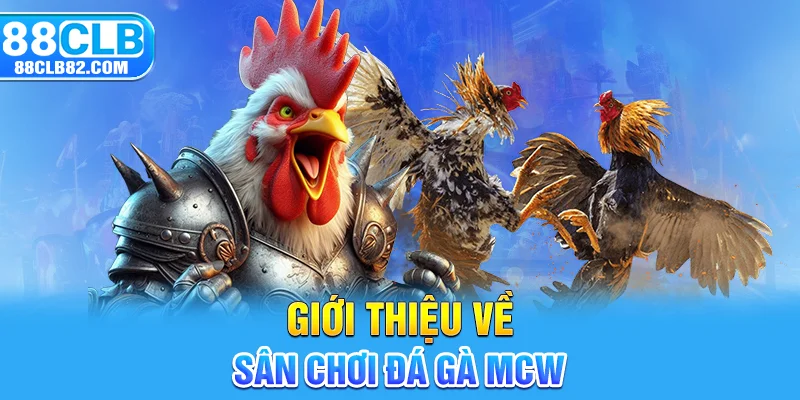 Giới thiệu về sân chơi đá gà MCW