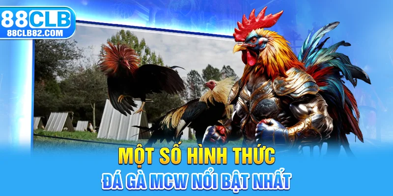 Một số hình thức đá gà MCW nổi bật nhất